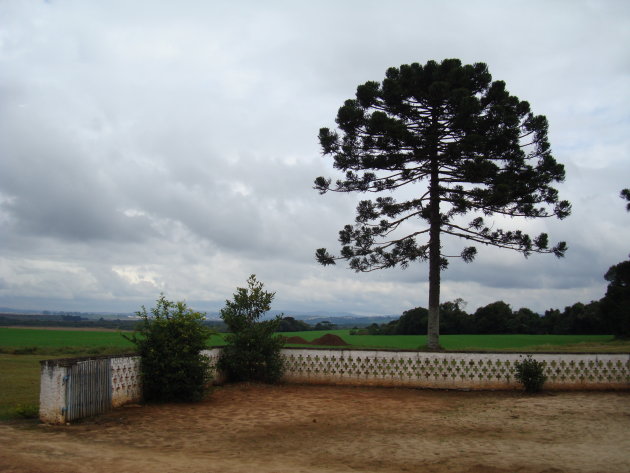 Uitzicht vanaf de Fazenda in Castrolanda