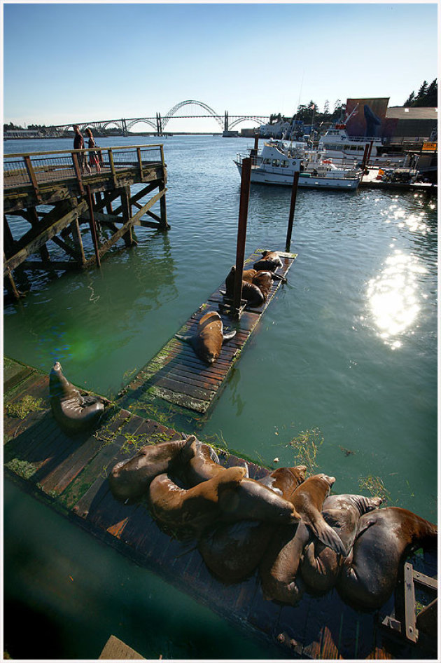 Newport Oregon 