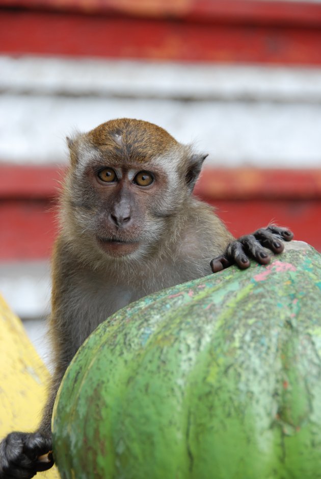 Batu Caves