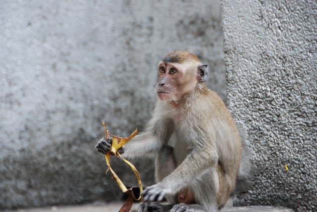 Batu Caves