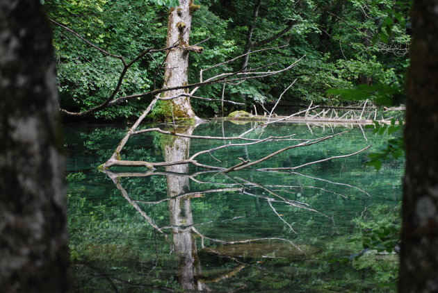 Weerspiegeling in Obersee (bij Königssee)