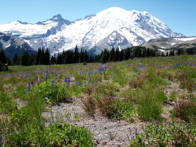 Mount Rainier