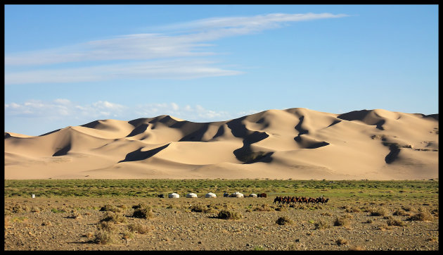 Dunes & Camels