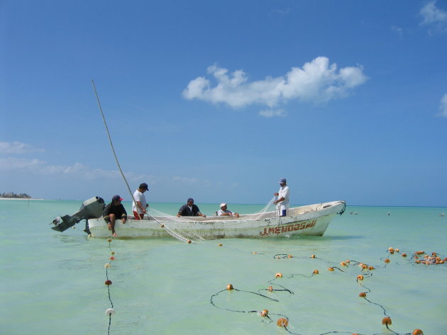 Vissers Isla Holbox Mexcio