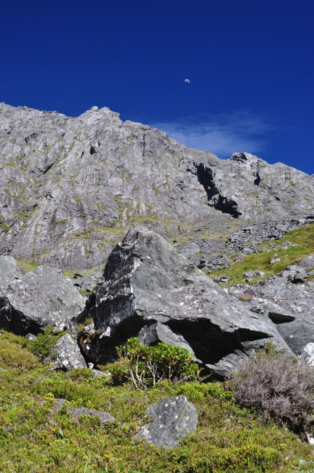 Homer Tunnel Nature Walk