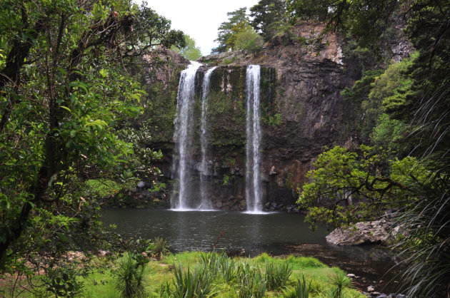 Whangarei Falls