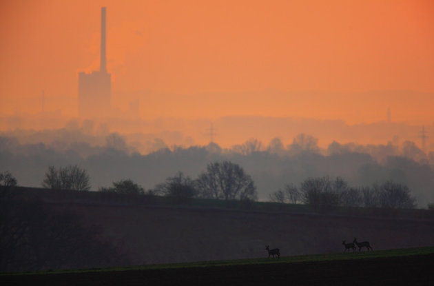 Contrast in de natuur in de 21e eeuw... 