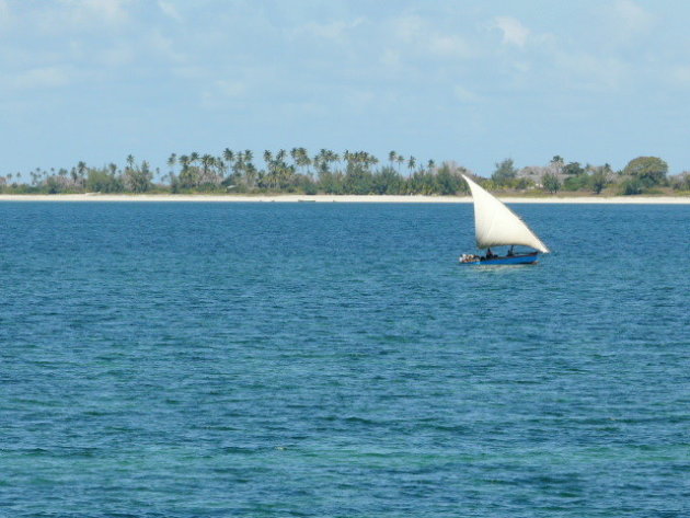 dohw in het blauw -Ilha de Mocambique