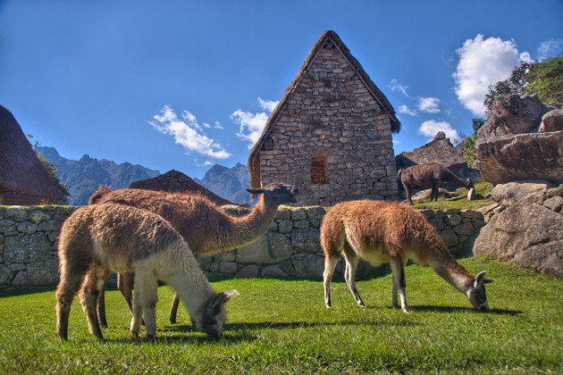 Machu Picchu  2