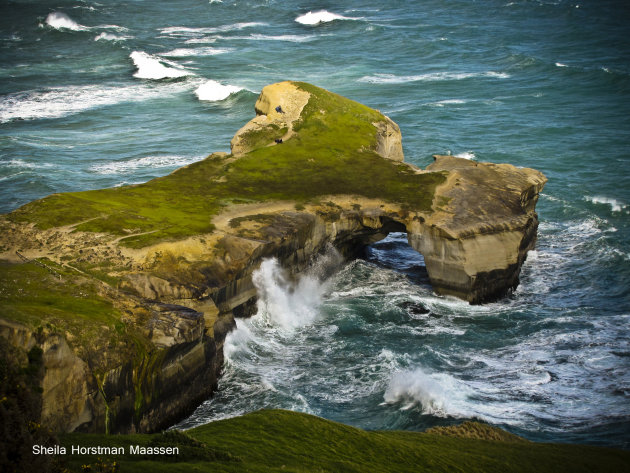 Tunnel Beach Walk