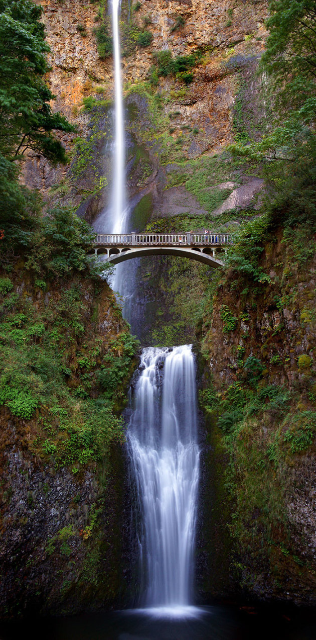 multnomah falls