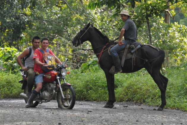 paard als vervoersmiddel