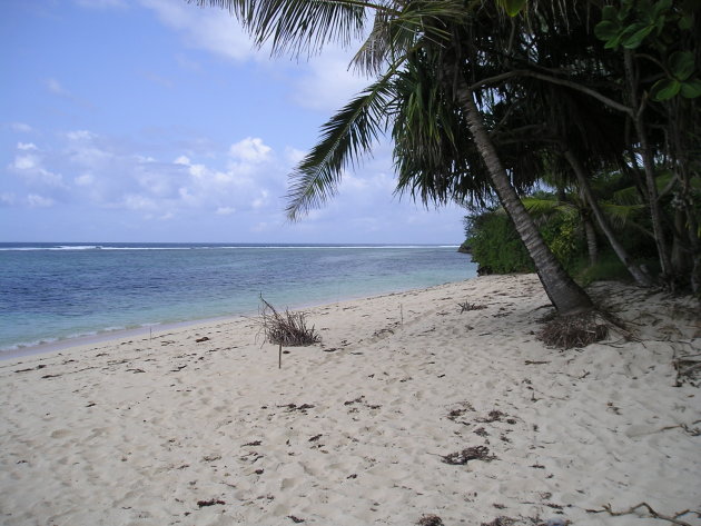 Strand bij Mombasa