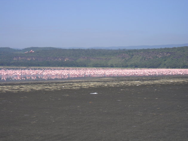 Lake Nakurua