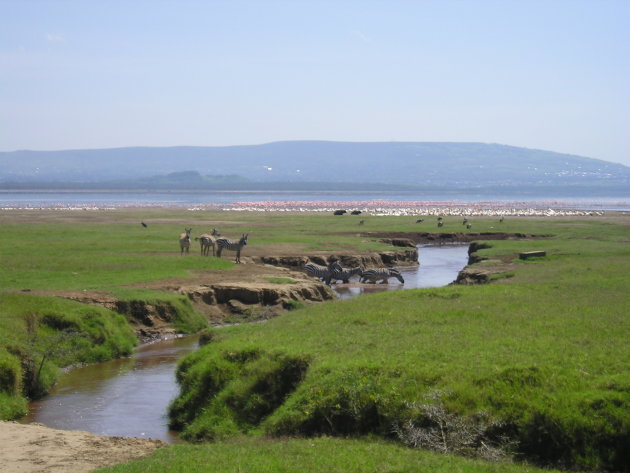 Lake Nakuru