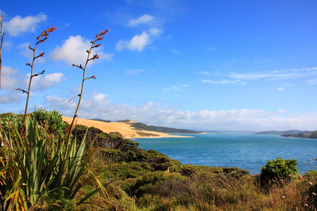 Hokianga harbour