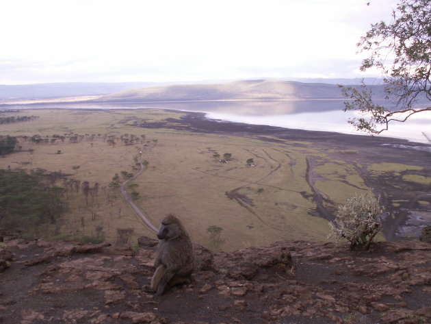 Lake Nakuru