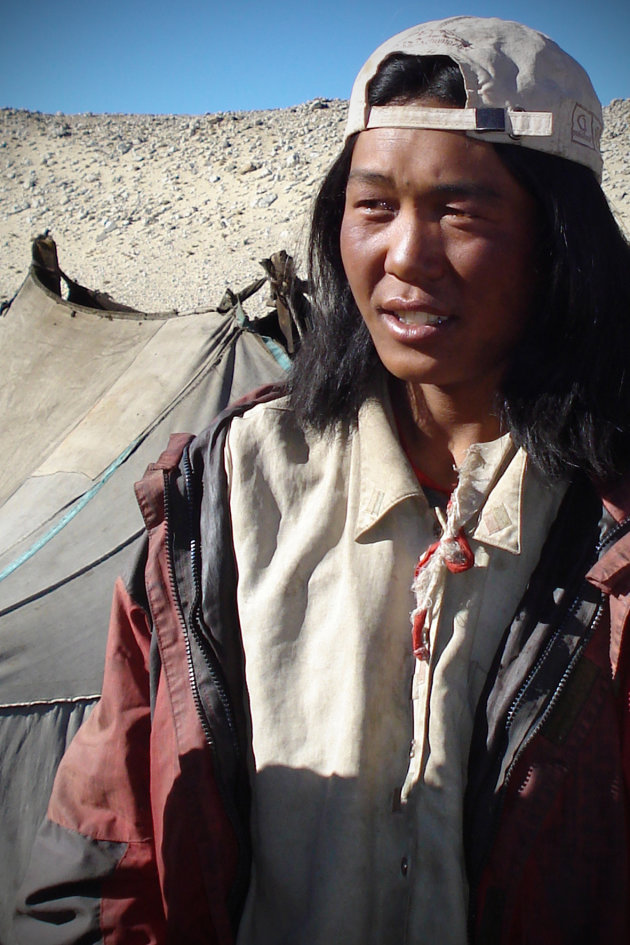 jonge Tibetaanse schaapsherder