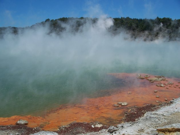 Champagne Pool