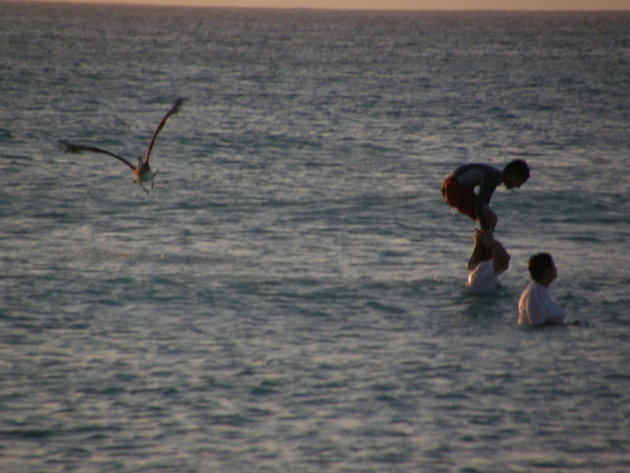 Pelikaan scheert langs spelende kinderen in de zee