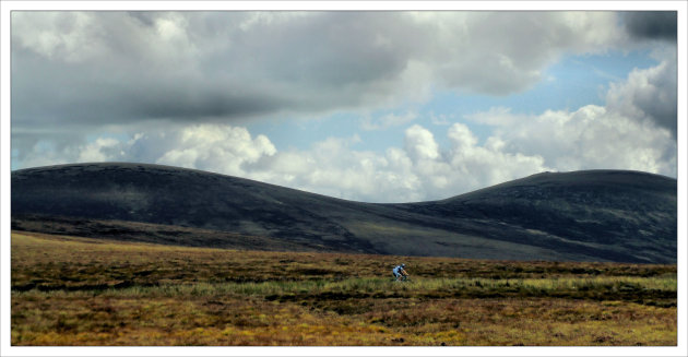 borsten van de Wicklow