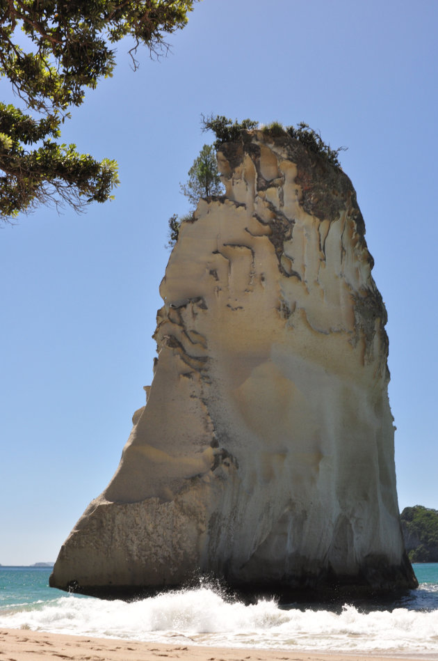 Cathedral Cove