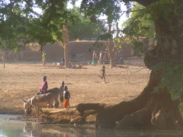 Dorpsleven in de Sahel
