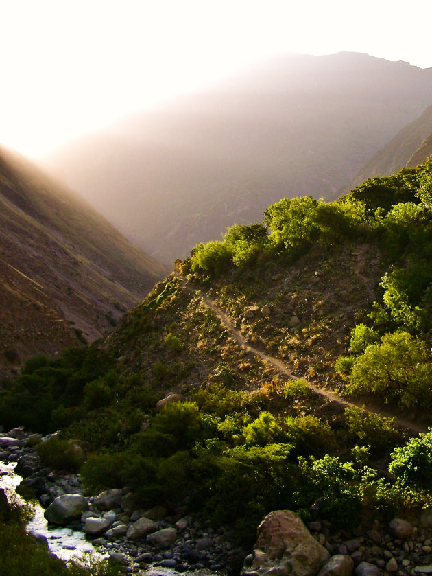 Good morning Colca