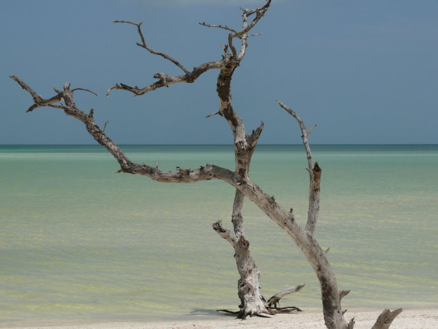 Caribische zee in vele kleuren