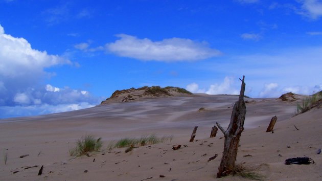 Wandelende duinen