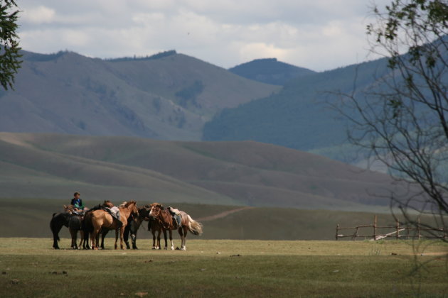 Mongolië