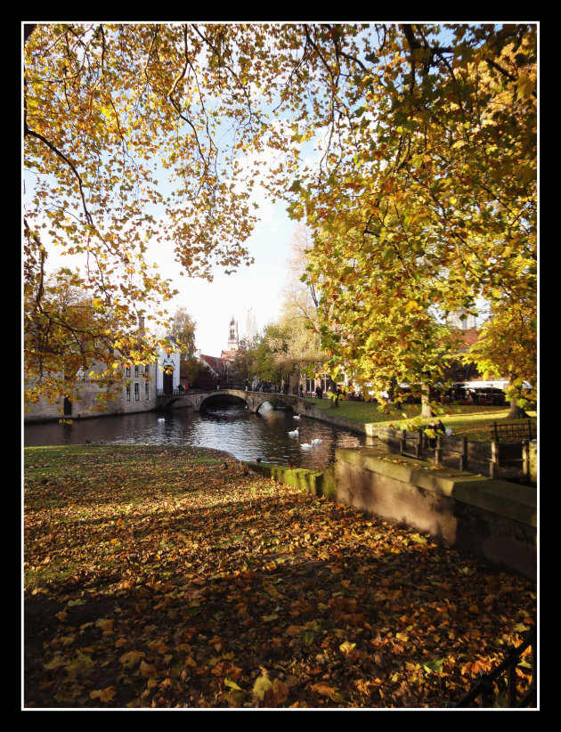 Herfst in Brugge 1