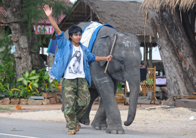 Jongen met oilifant