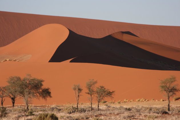 Namibian Desert