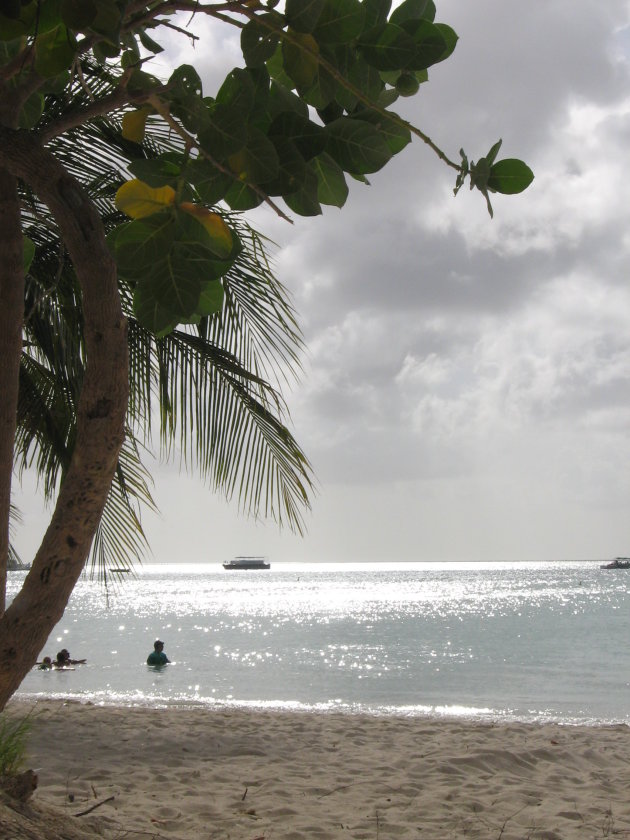 prachtig zonlicht oer de caribische zee bij aruba