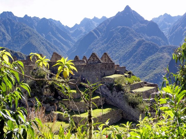 Machu Picchu in 't groen