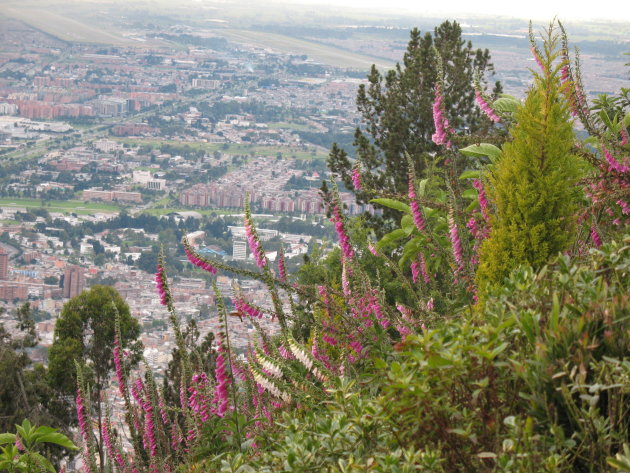Bogota overview