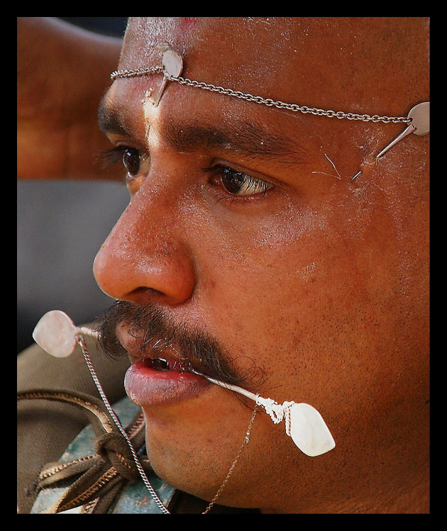 Thaipusam festival