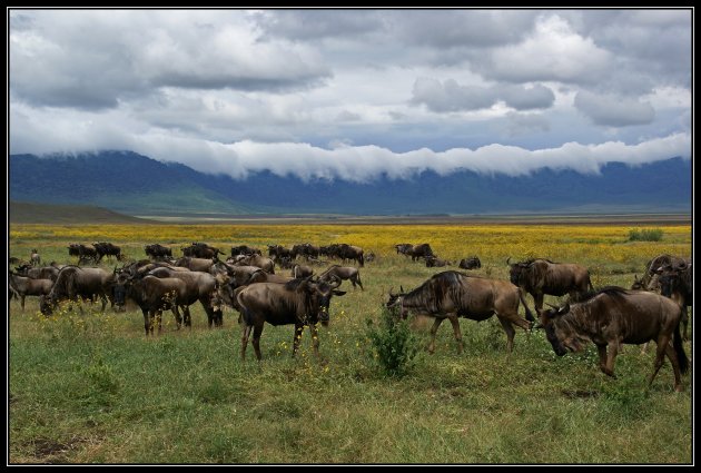 Ngorongoro - wolkendeken