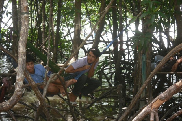Mannen relaxen in de bomen boven de zee in Railay