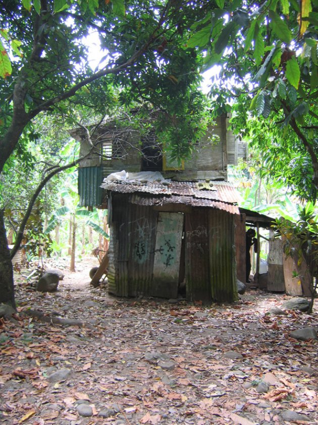 Shack in de bushbush