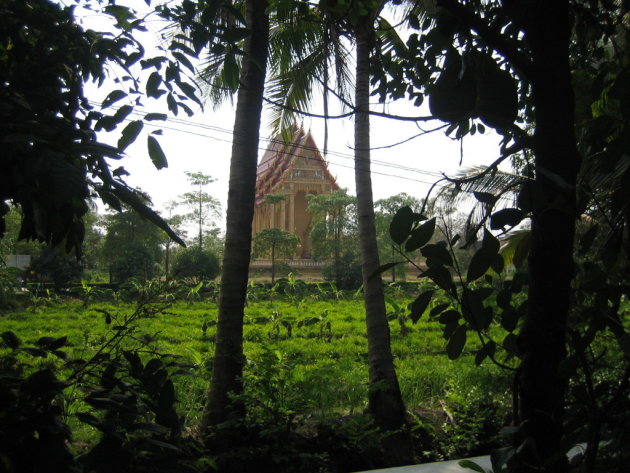 tempel tussen de akkers