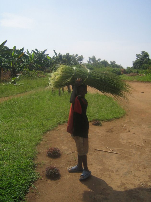 Werken op school, riet op het hoofd