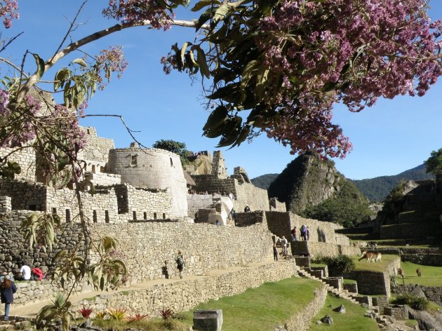 Kleurig Machu Picchu