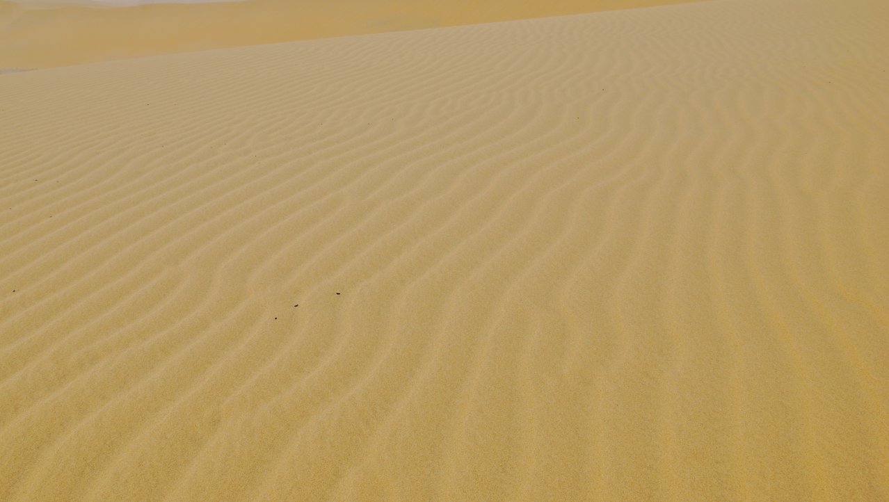 Zand... en nog eens zand 