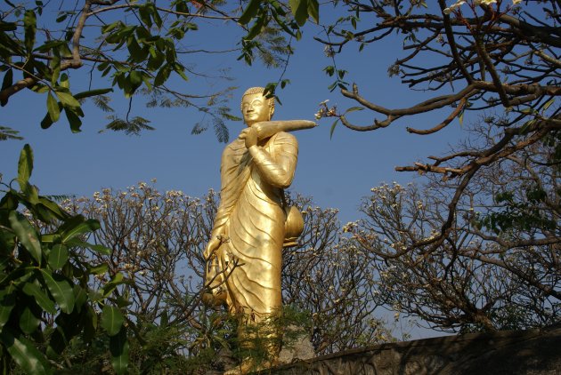 Reizende Boeddha