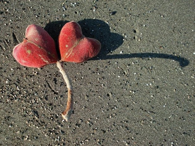 Hartjes op het strand