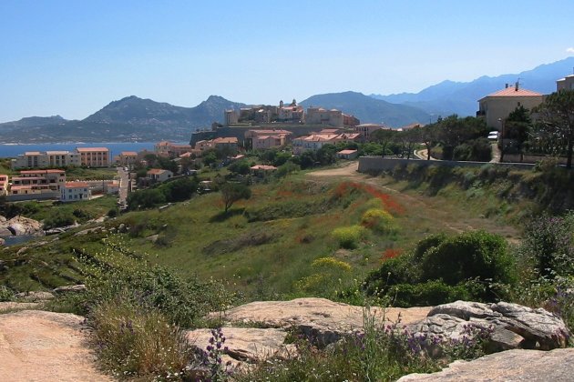 Citadel van Calvi.