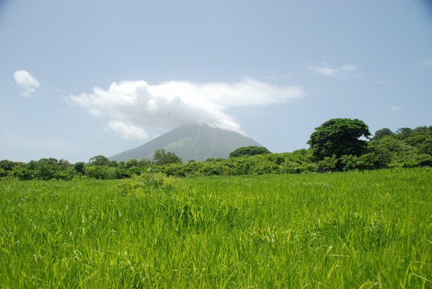 Grasvelden en vulkaan op Isla Ometepe