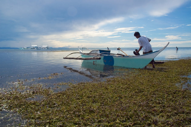 Malapasqua island